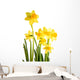 Daffodil Wall Decal