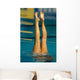 synchro swimming 01 Wall Mural