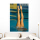 synchro swimming 01 Wall Mural