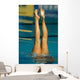synchro swimming 01 Wall Mural
