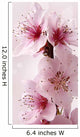 peach flowers with pink gradient background Wall Mural