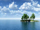 Birch Isla Cs Wall Decal