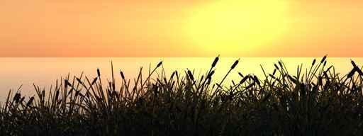 Reeds Ob Wall Decal
