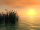 Reeds Ss Ob Wall Decal