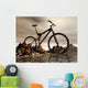 mountain   bike Wall Mural