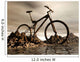 mountain   bike Wall Mural