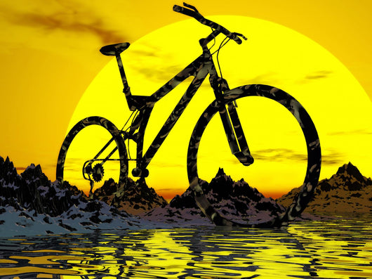Mountain biking wall 2025 art
