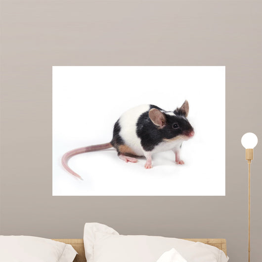 Little Mouse Wall Decal