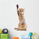 Funny Kitten Pointing up