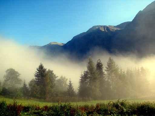 Morgenstimmung Wall Decal Design 2