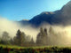 Morgenstimmung Wall Decal Design 2