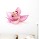 Orchid