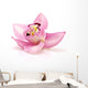 Orchid