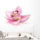 Orchid