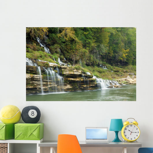 Twin Falls Wall Mural