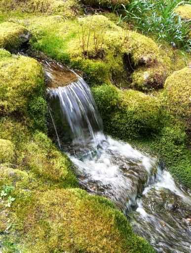 Waterfall Japanese Garden Wall Decal