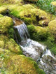 Waterfall Japanese Garden Wall Decal