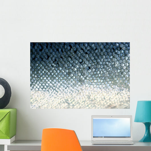 fish scales Wall Mural