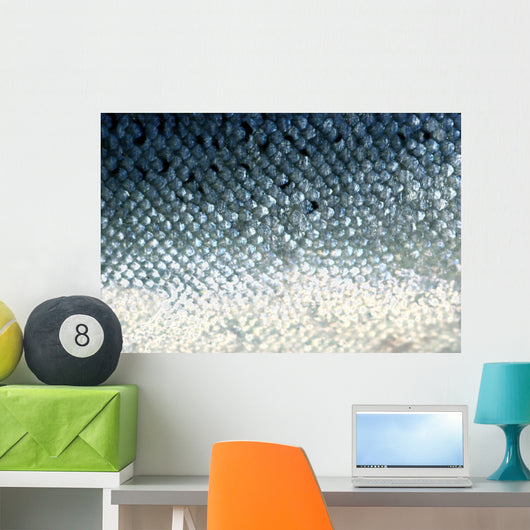 fish scales Wall Mural