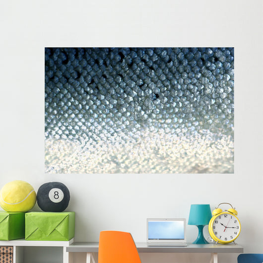 fish scales Wall Mural