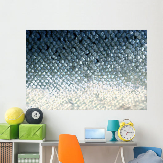 fish scales Wall Mural