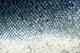 fish scales Wall Mural