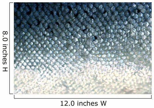 fish scales Wall Mural