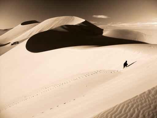 Desert Fight Wall Decal