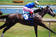Three Horse Driving Stretch