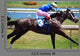 Three Horse Driving Stretch