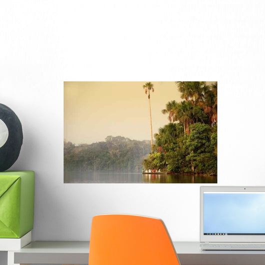 Sandoval See Wall Decal Design 1