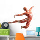 anatomy, muscles Wall Decal