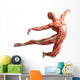 anatomy, muscles Wall Decal