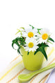 Ivy and White Flower Wall Mural