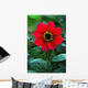 Red Flower Wall Mural