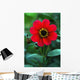 Red Flower Wall Mural