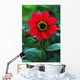 Red Flower Wall Mural