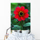 Red Flower Wall Mural