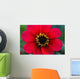 Red Flower Wall Mural