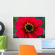 Red Flower Wall Mural