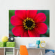 Red Flower Wall Mural