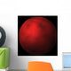 Red Planet Wall Mural