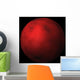 Red Planet Wall Mural