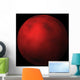 Red Planet Wall Mural