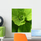 Drop Life Wall Decal