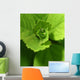 Drop Life Wall Decal