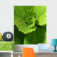 Drop Life Wall Decal