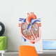 Anatomical Heart Wall Decal