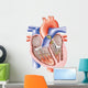 Anatomical Heart Wall Decal