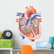 Anatomical Heart Wall Decal
